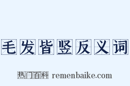 毛发皆竖反义词是什么意思的图片
